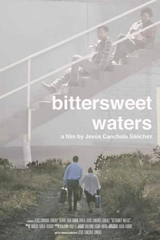 Bittersweet Waters poster