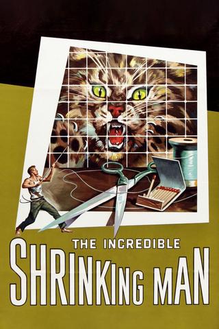 The Incredible Shrinking Man poster