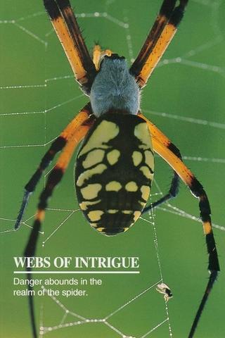 Webs of Intrigue poster