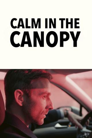 Calm in the Canopy poster