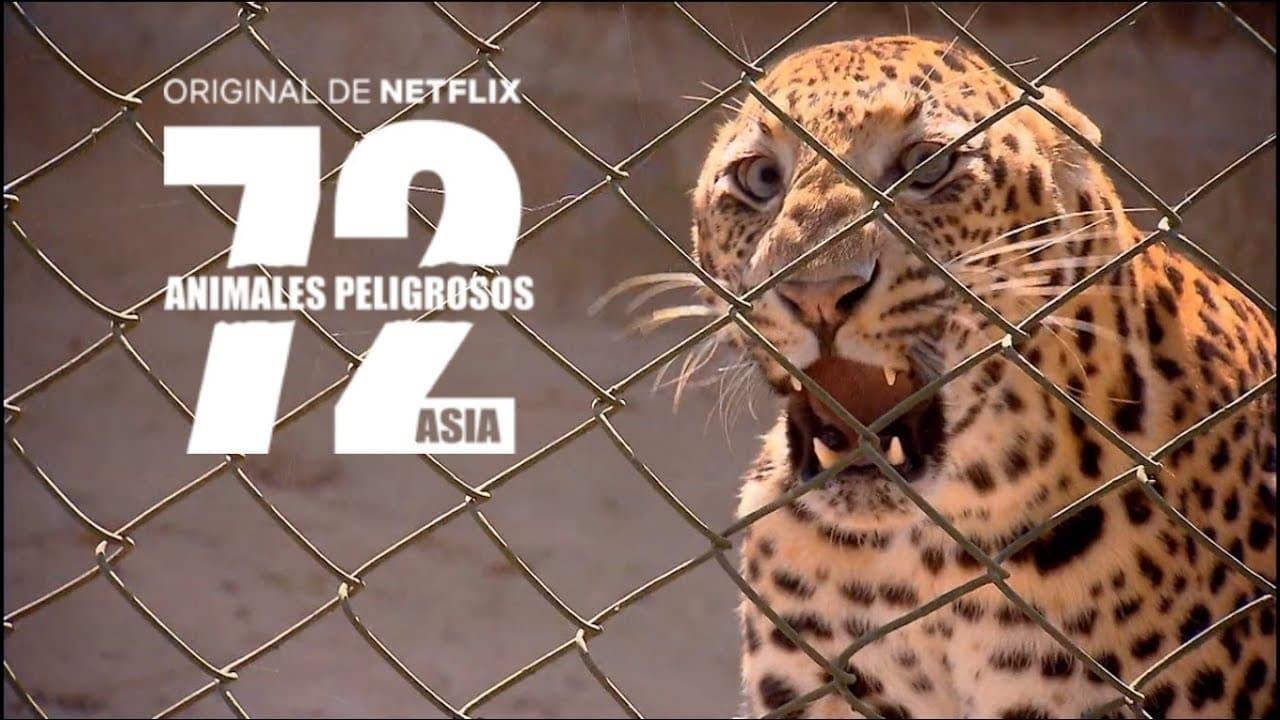 72 Dangerous Animals: Asia backdrop
