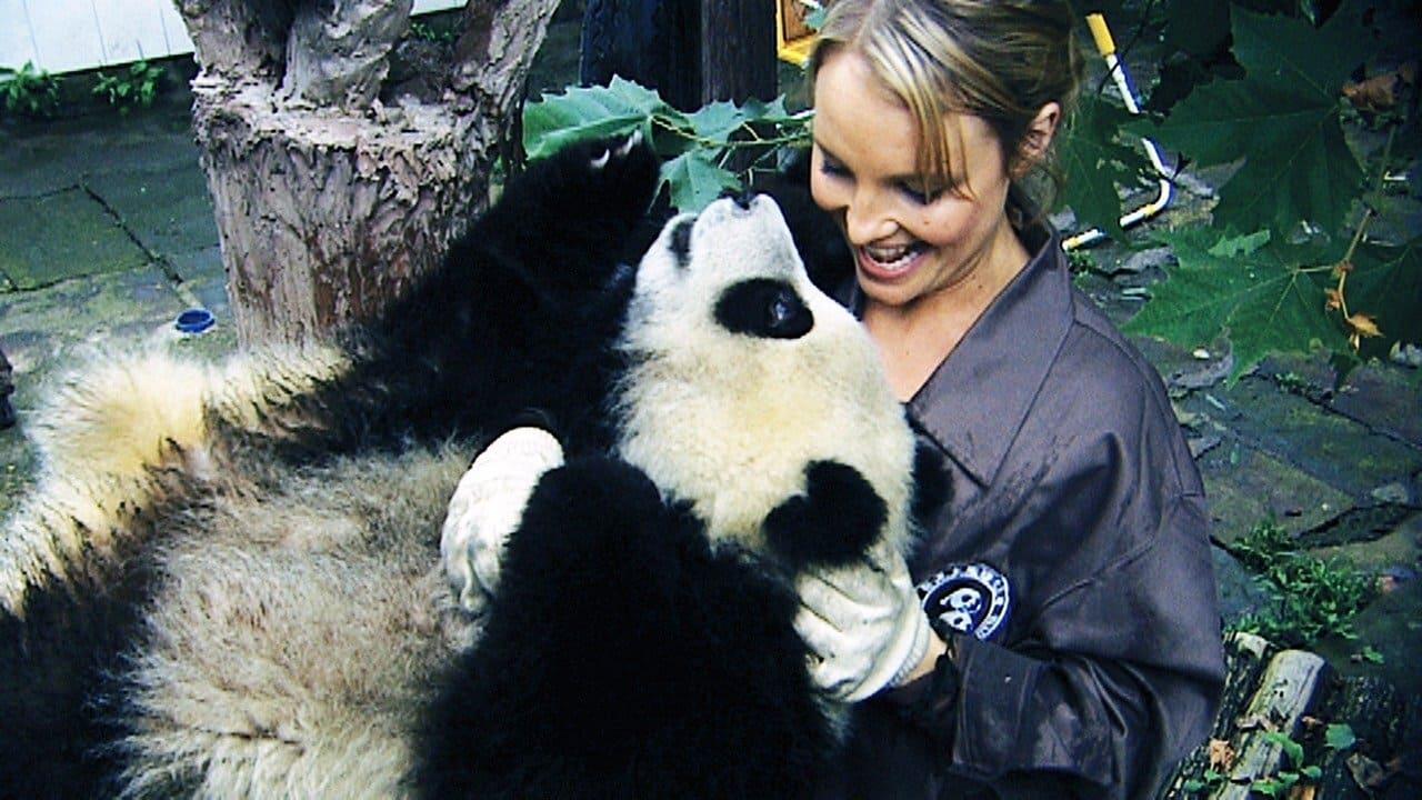 Sneezing Baby Panda: The Movie backdrop