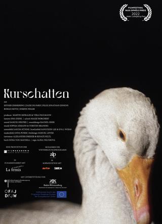 Kurschatten poster