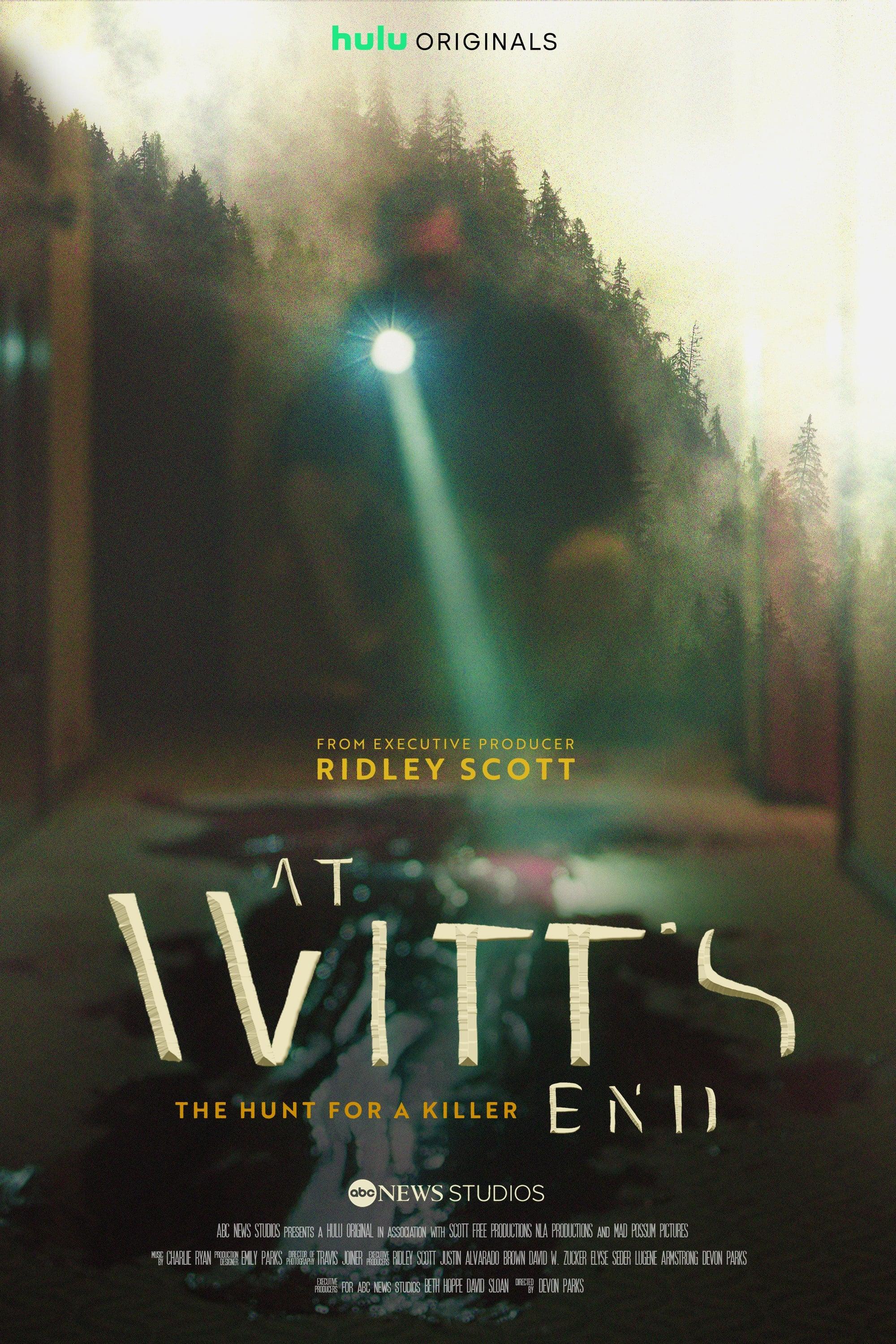 At Witt's End: The Hunt for a Killer poster