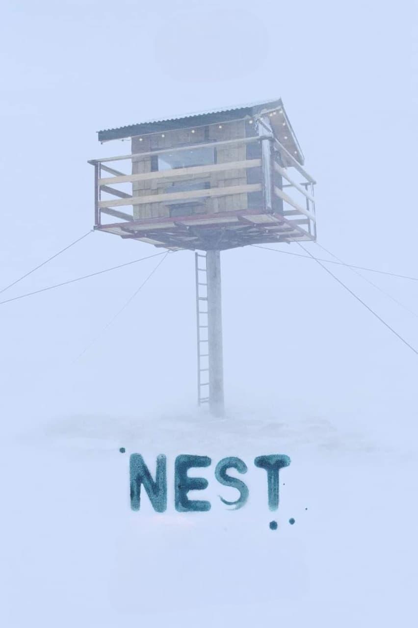 Nest poster