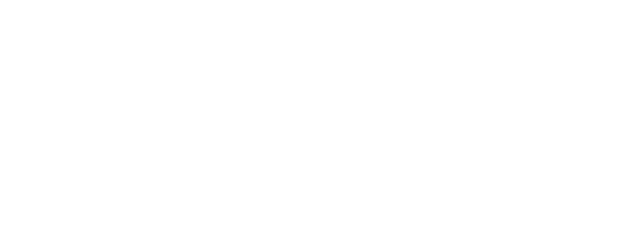 Run with the Wind logo