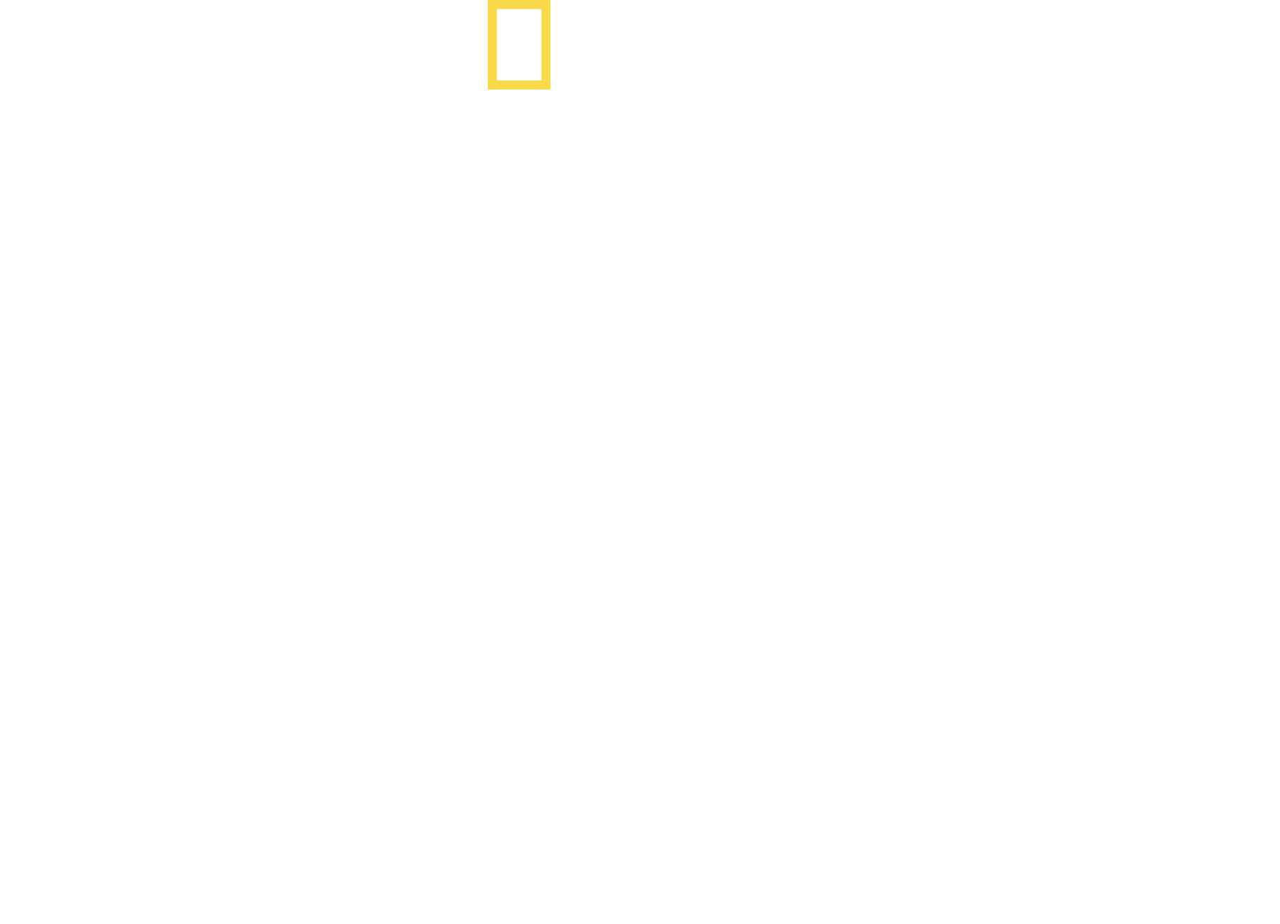 Orca Vs. Great White logo