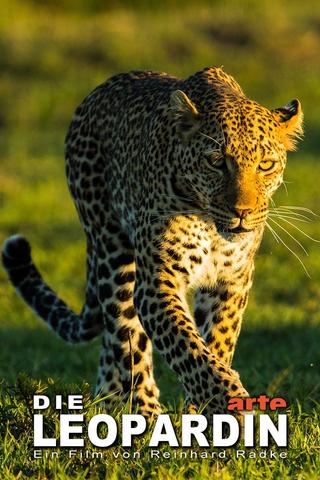 The Leopardess poster