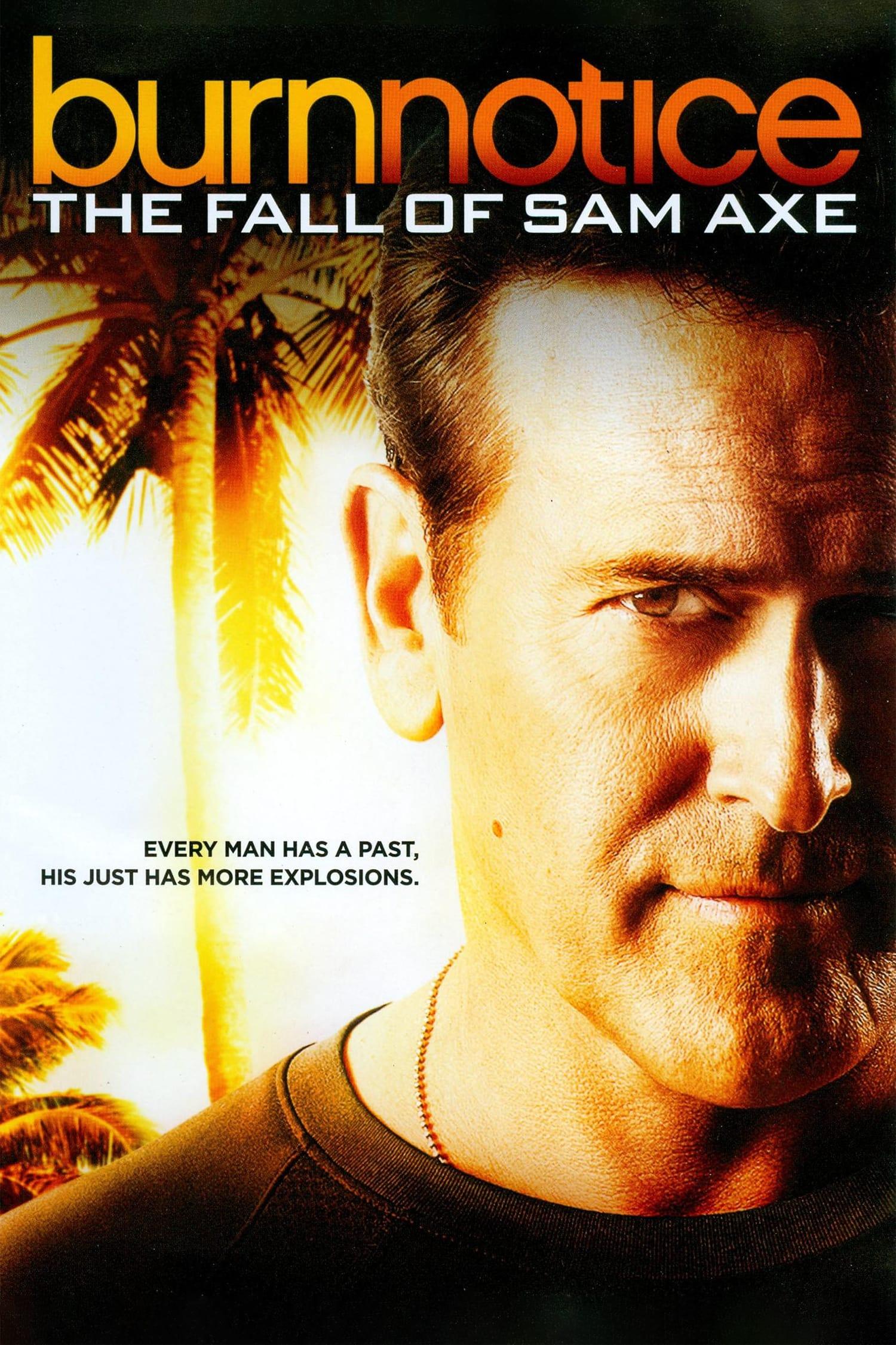 Burn Notice: The Fall of Sam Axe poster