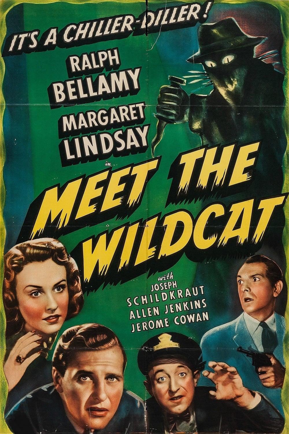 Meet the Wildcat poster