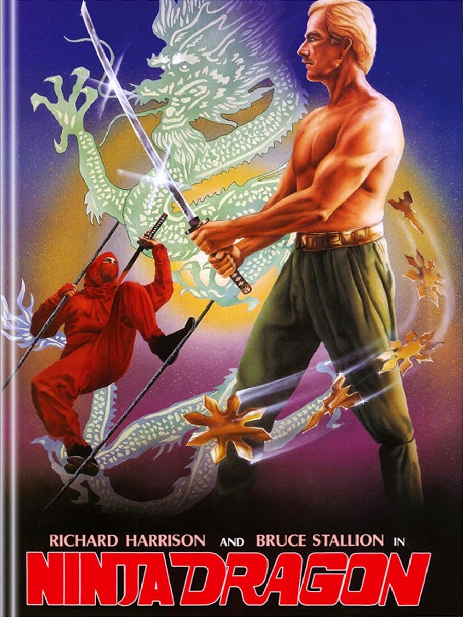 Ninja Dragon poster