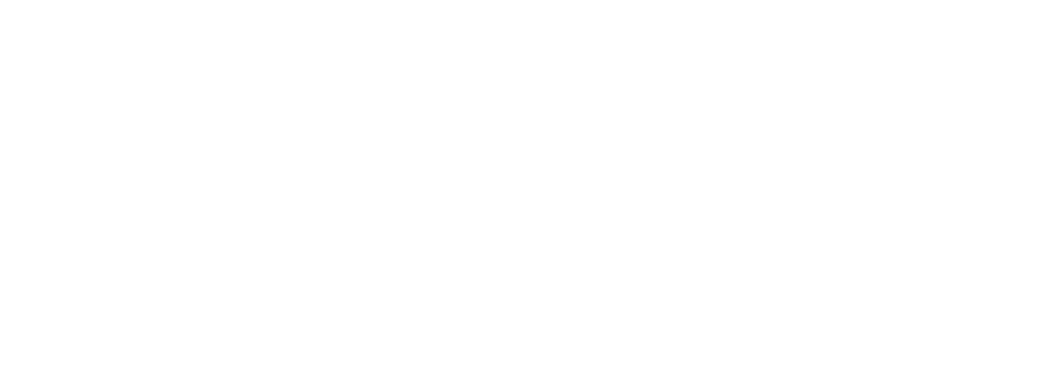 Iron Kung Fu Fist logo