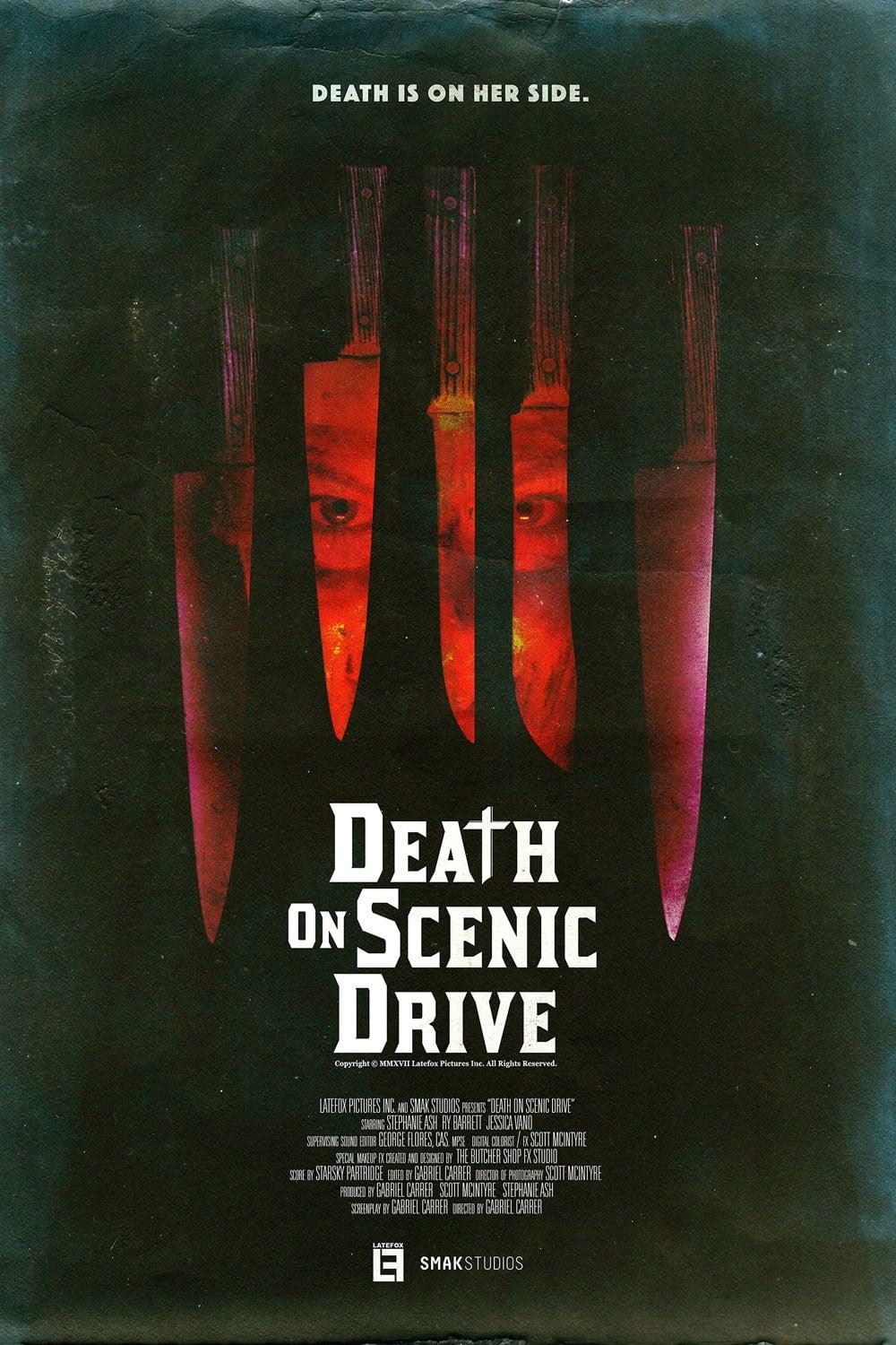 Death on Scenic Drive poster
