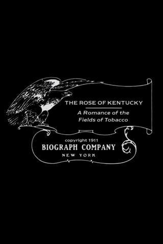 The Rose of Kentucky poster