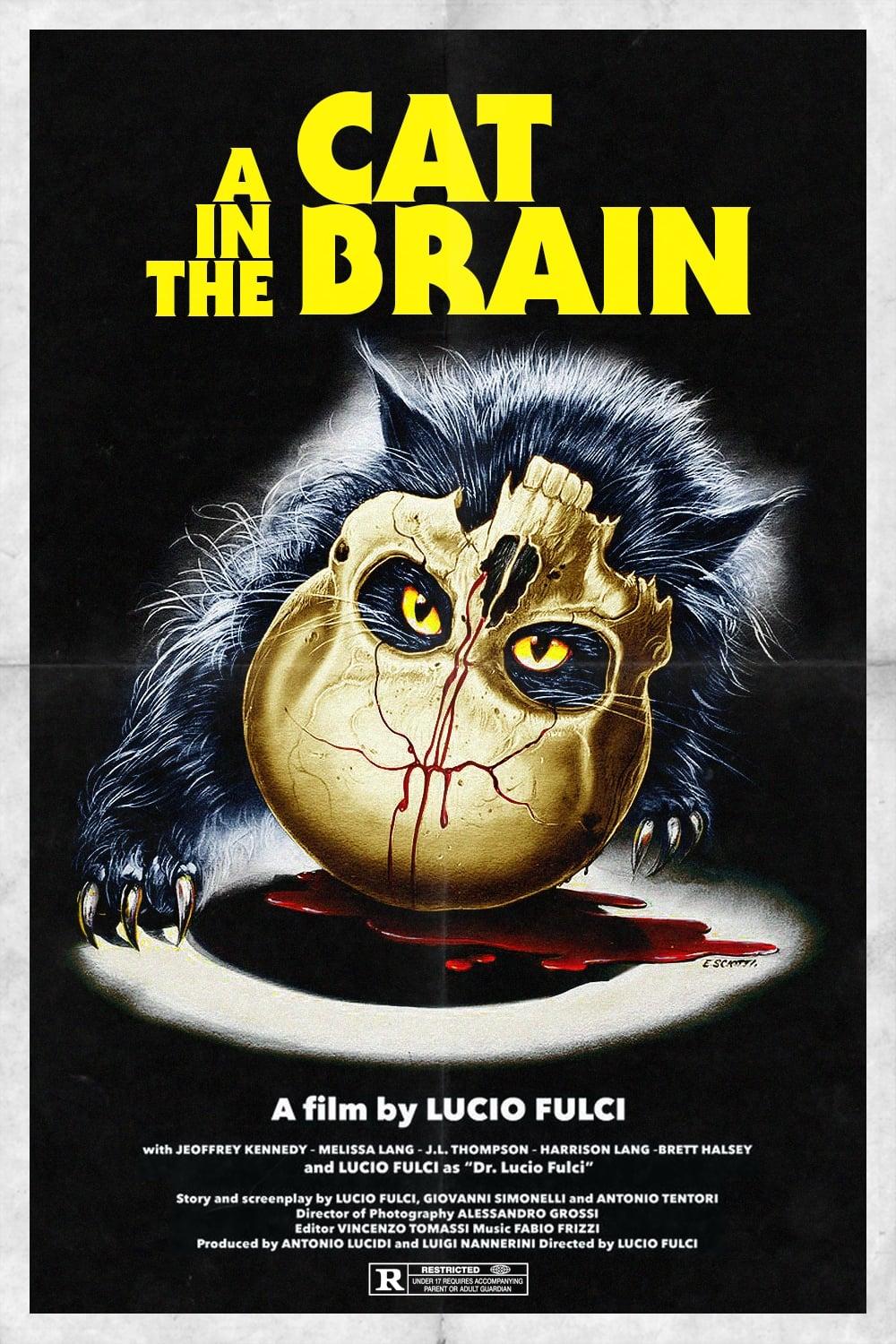 A Cat in the Brain poster
