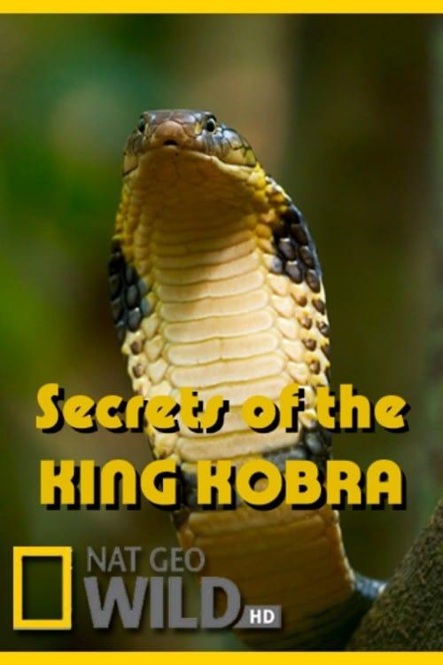 Secrets of the King Cobra poster