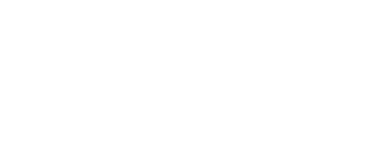 Spirit: Riding Free logo