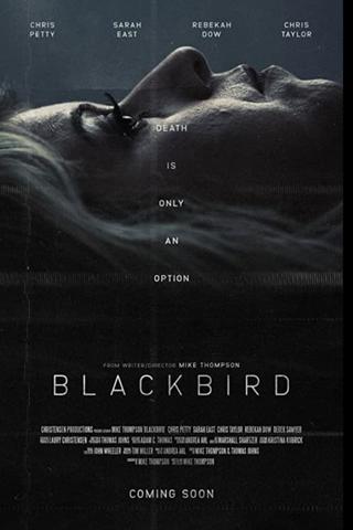 Blackbird poster