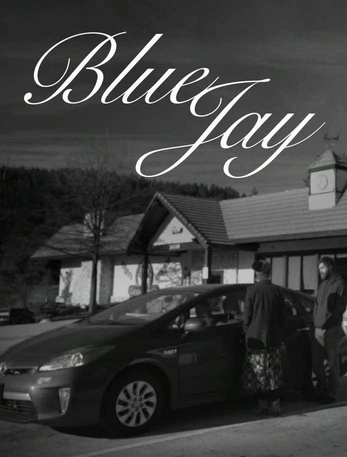 Blue Jay poster