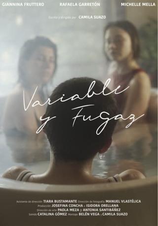 Variable and Fleeting poster
