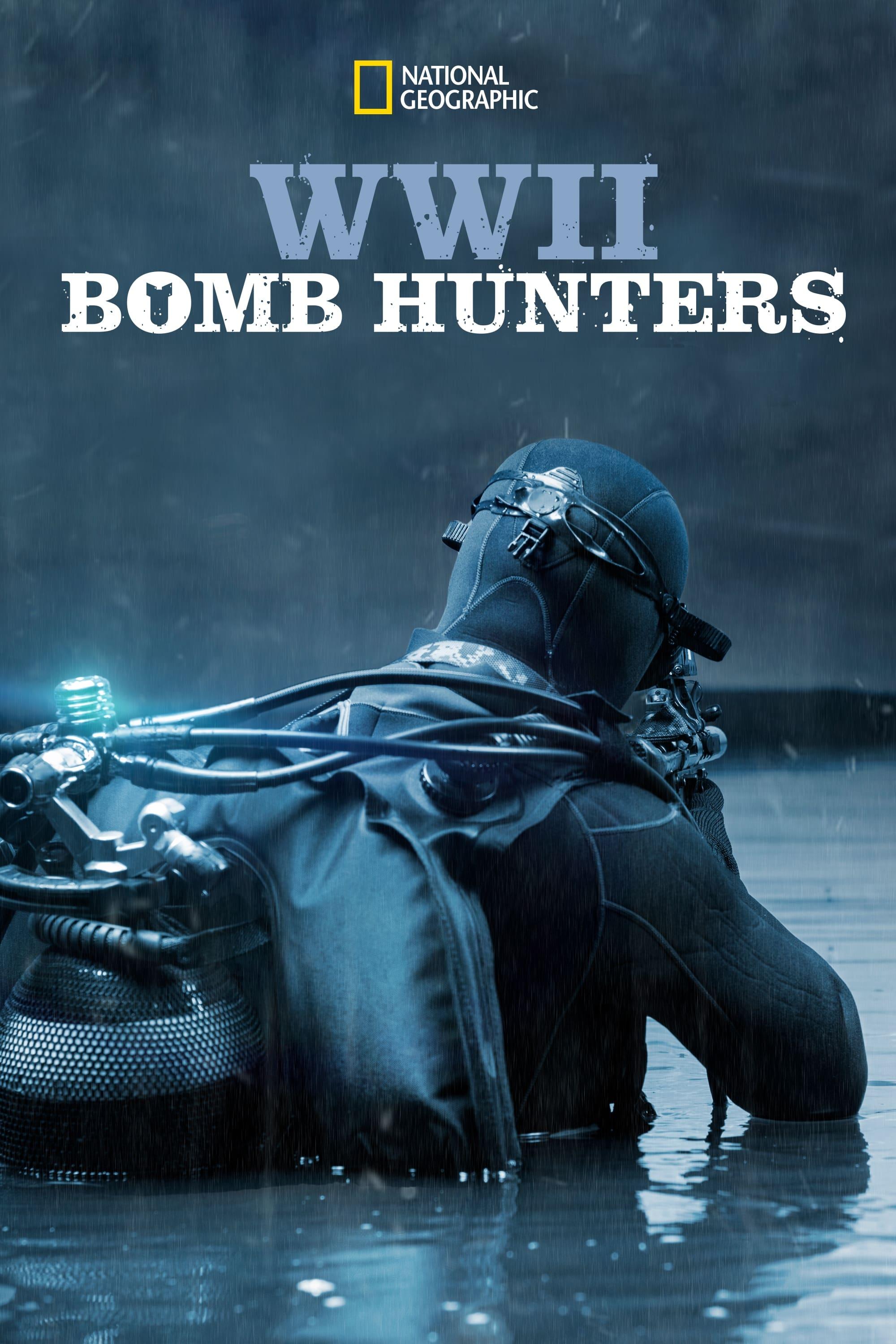 WWII Bomb Hunters poster