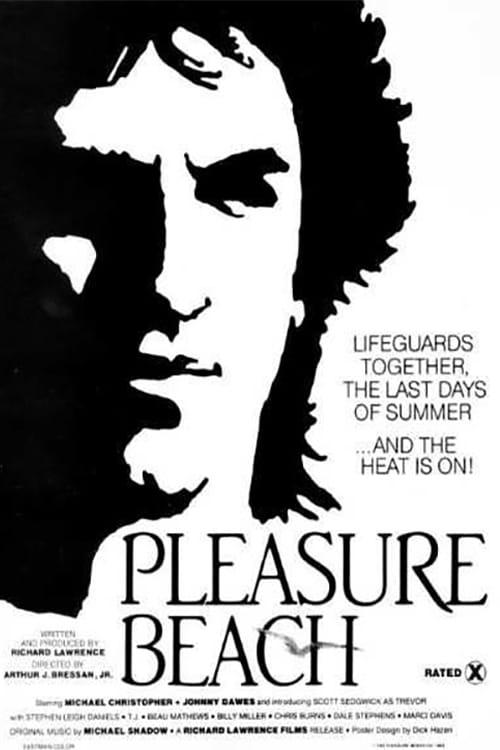 Pleasure Beach poster