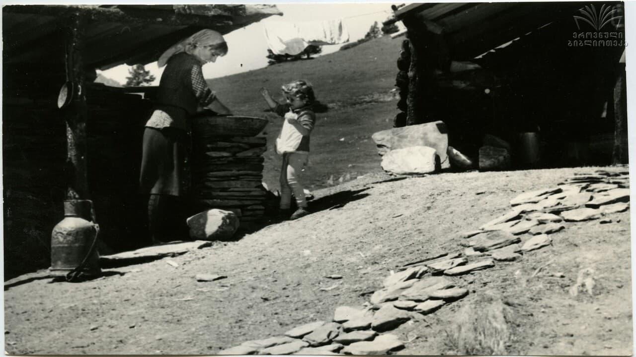 Nazi gaurgashvili backdrop