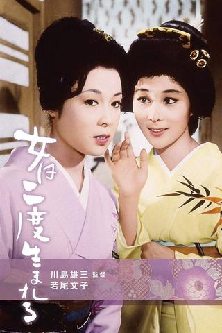 A Geisha's Diary poster