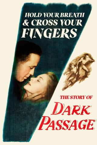 Hold Your Breath and Cross Your Fingers: The Story of 'Dark Passage' poster