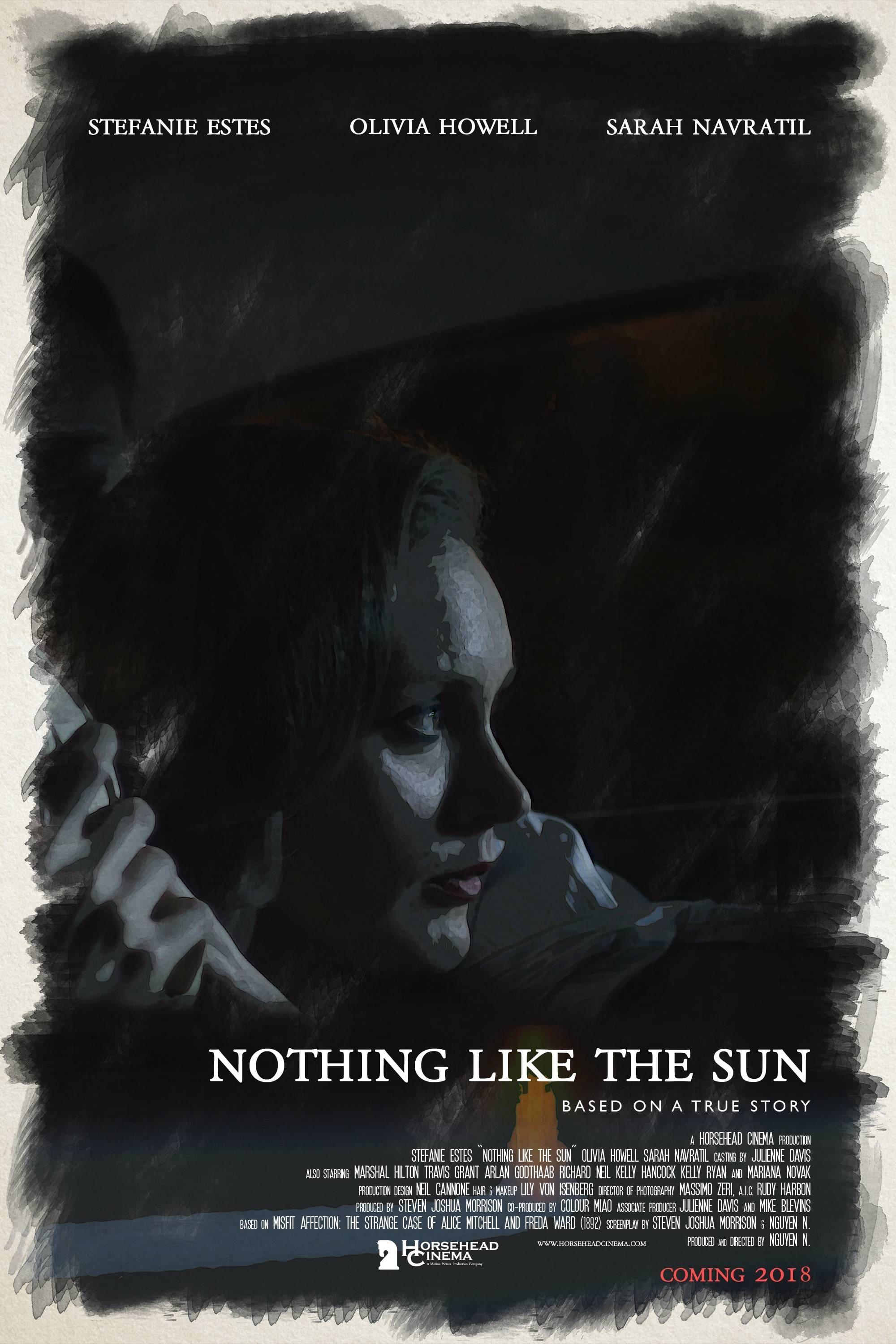 Nothing Like The Sun poster