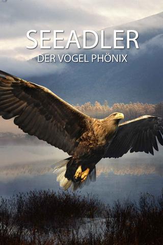 Seeadler - Der Vogel Phönix poster