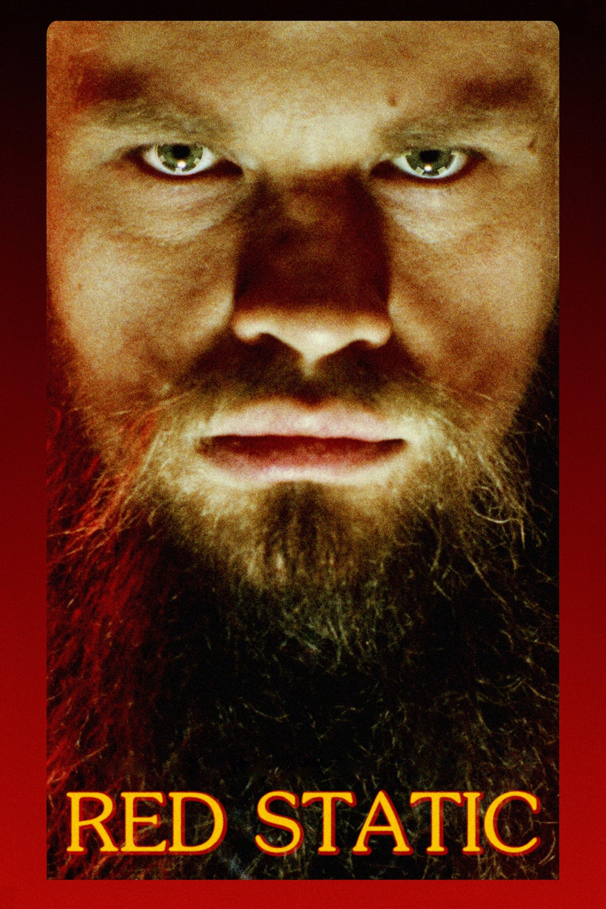 Red Static poster