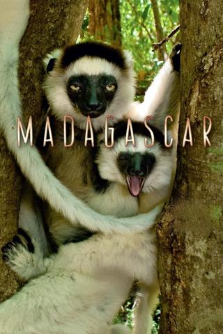 Madagascar poster