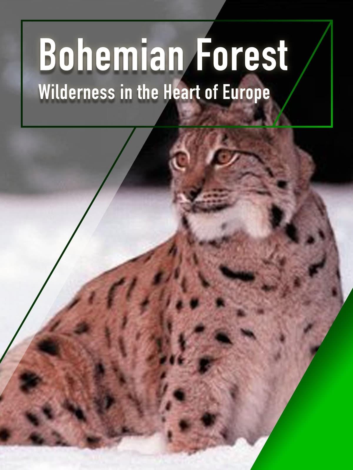 The Bohemian Forest - Wilderness in the Heart of Europe poster