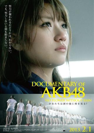 Documentary of AKB48 No Flower Without Rain poster