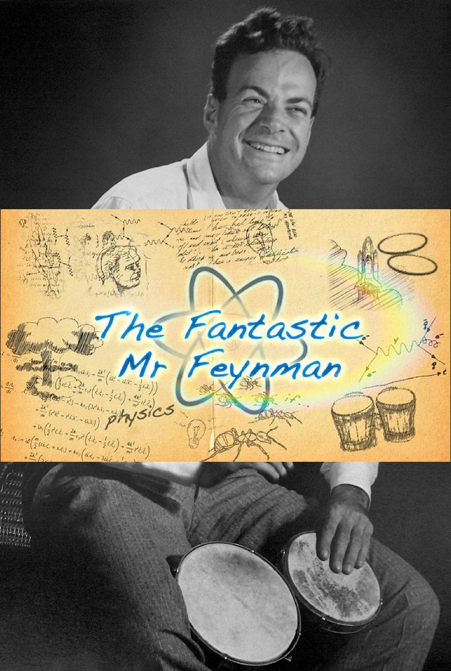 The Fantastic Mr Feynman poster