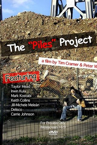 The Piles Project poster