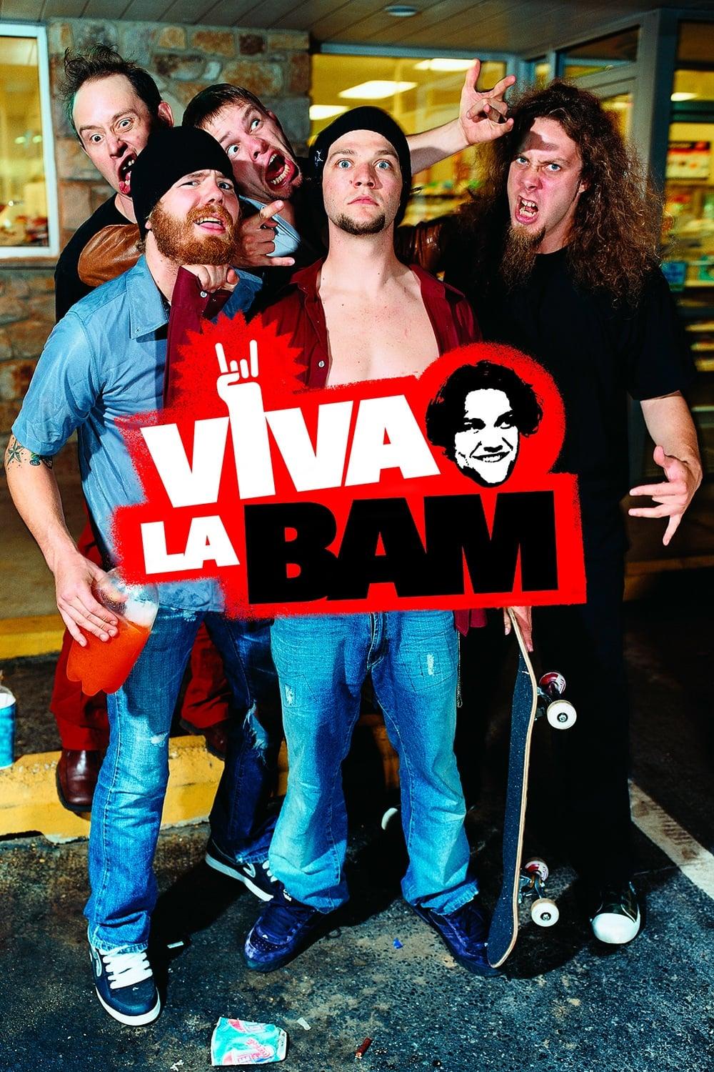 Viva La Bam poster