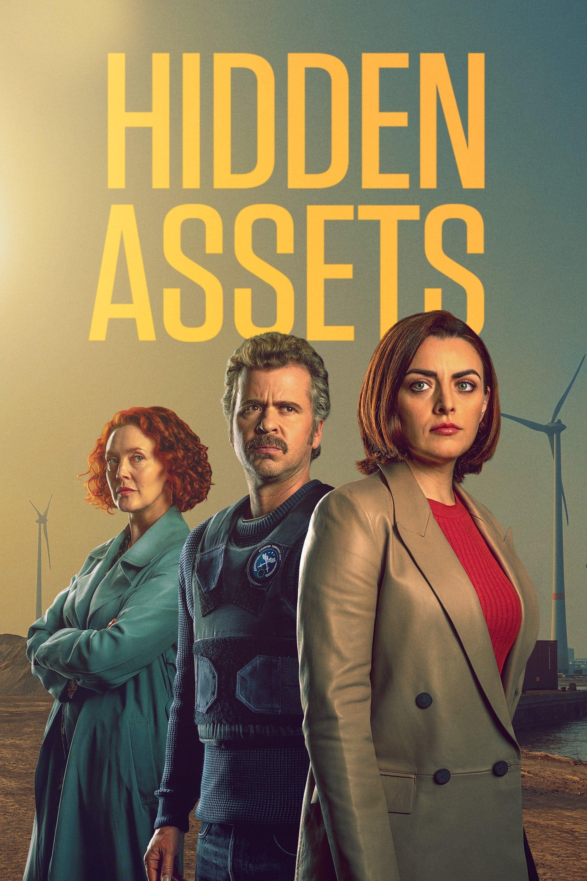 Hidden Assets poster