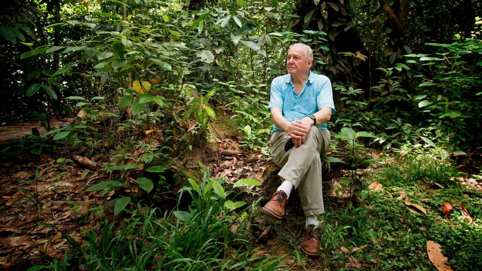 Attenborough: 60 Years in the Wild backdrop
