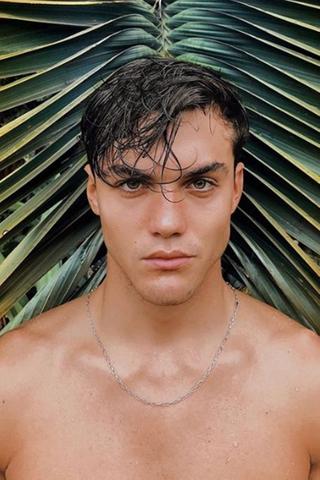 Grayson Dolan pic