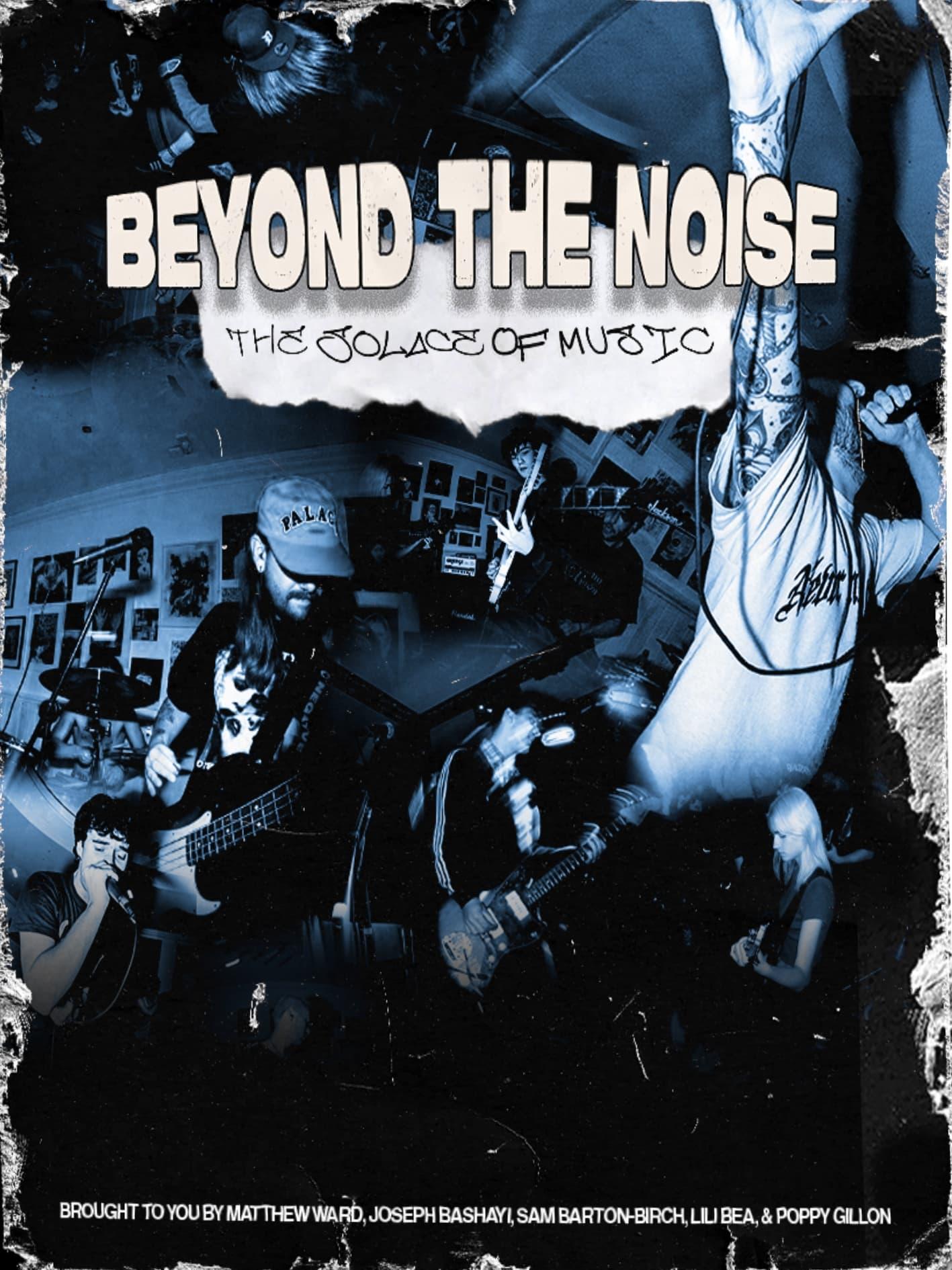 Beyond the Noise. poster