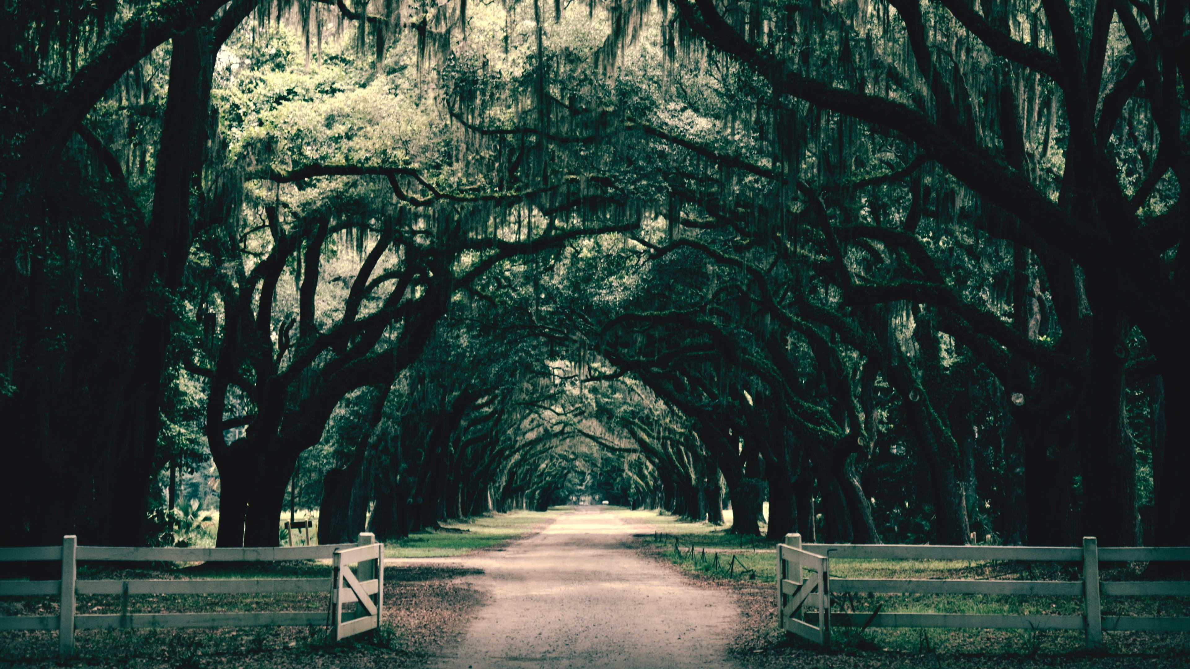 Southern Gothic backdrop