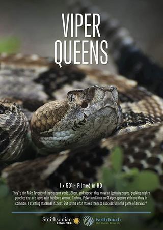 Viper Queens poster
