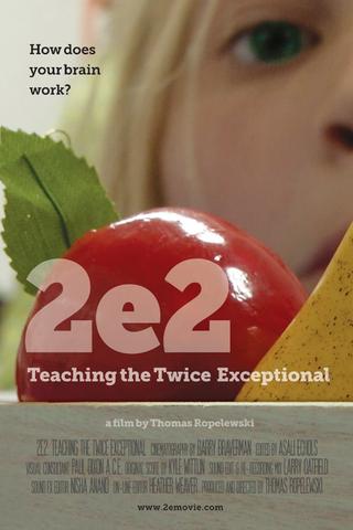 2e2: Teaching the Twice Exceptional poster