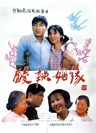 酸辣姻缘 poster