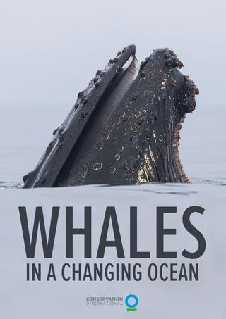 Whales in a Changing Ocean poster