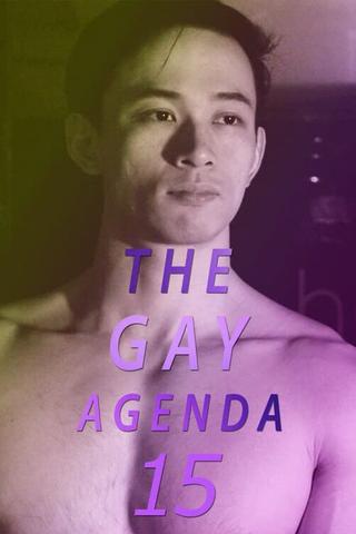 The Gay Agenda 15 poster