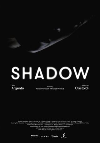 Shadow poster