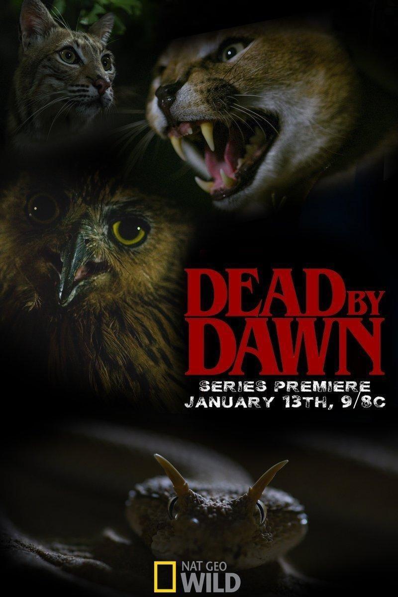 Dead By Dawn poster